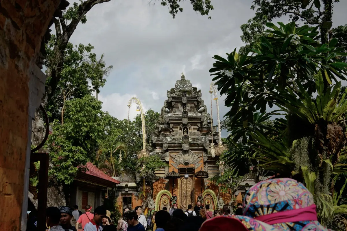How to Plan the Perfect Ubud Day Trip: Full Itinerary and Tips